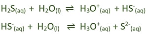H2S + water reaction - acidic behavior of hydrogen sulfide